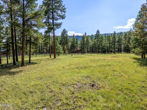 38654 State Highway 373, Greer, AZ 85927