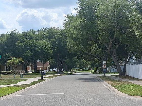 Tree-lined streets