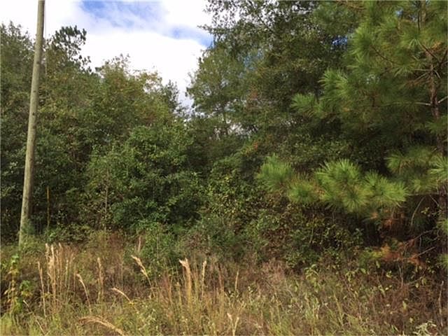 2nd image of 19136 London Ln