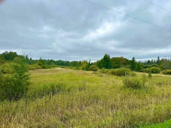 96xx Hwy 133, Meadowlands, MN 55765