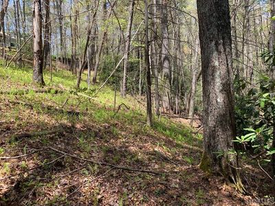Lot 12 Gold Creek Road, Cashiers, NC, 28774