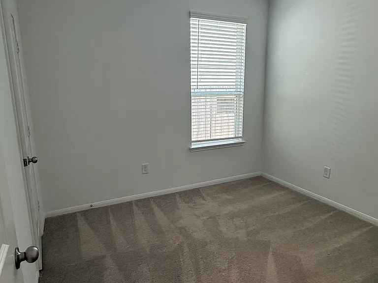 26334 Cedar Sedge Dr — Photo 29