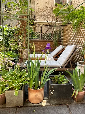 Rented by Corcoran | media 4