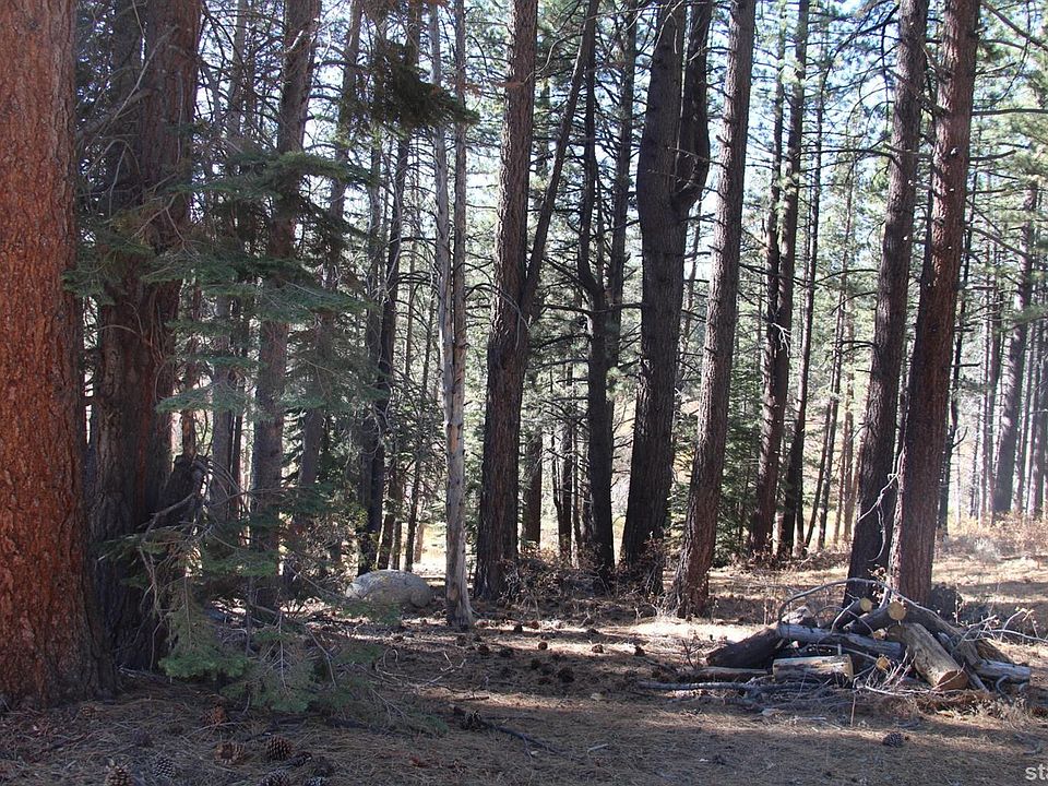2nd image of 1466 Ormsby Dr