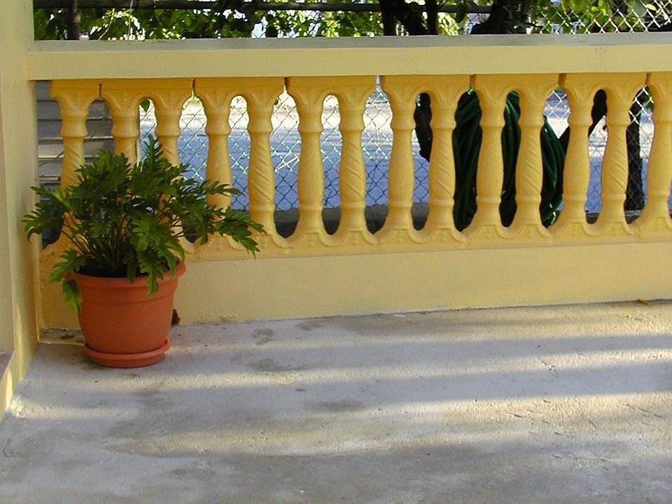 Partial view of the Terraza (towards lime tree) to the left