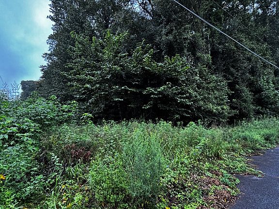 3rd image of 8202 Freestone Dr