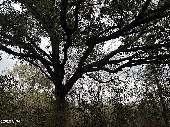 5th image of 7930 Broken Oak Dr