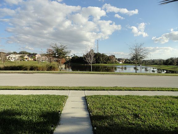 POND VIEW