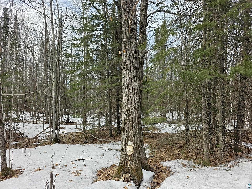 2nd image of Xxx Stark Rd
