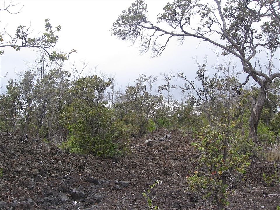 2nd image of Lot 24