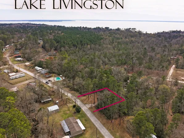 294 & 306 Impala Dr Lot 31-32-34, Onalaska, TX 77360