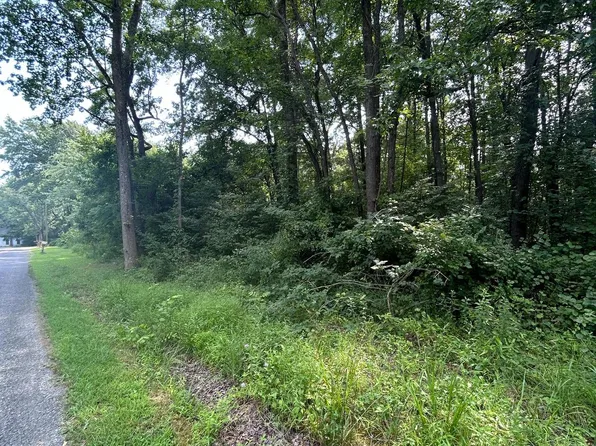 Chesterville Forest Rd Parcel 60, Millington, MD 21651