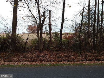 325 Greenspring Rd, Queenstown, MD, 21658