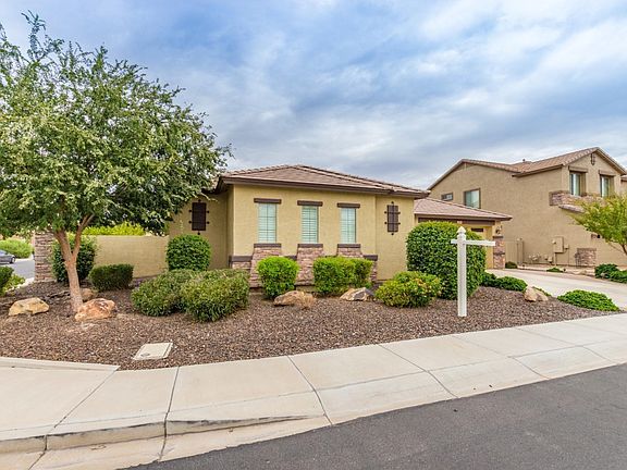 Cottonwood - 3573 (3)