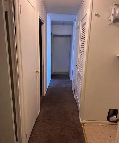 142 Saint Barbara Ln — Photo 16