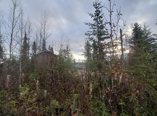 31900 Birch Haven Rd, Anchor Pt, AK 99556