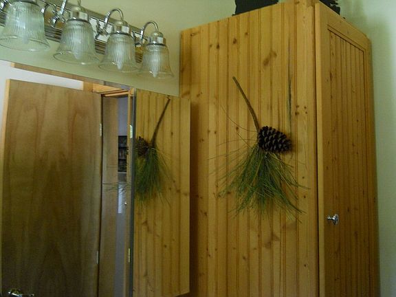 cabinet in main bathroom