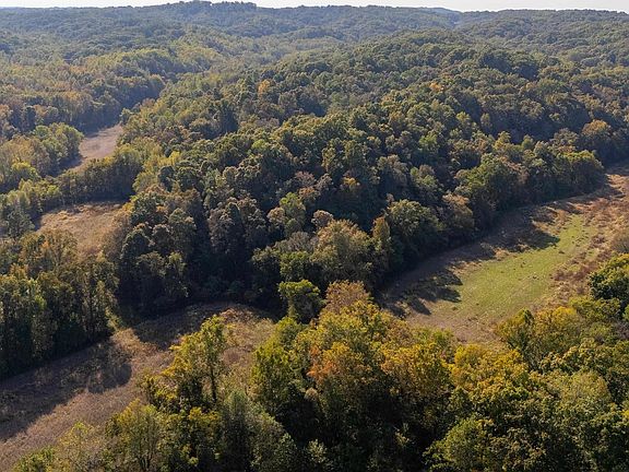 5th image of 19168 County Line Rd