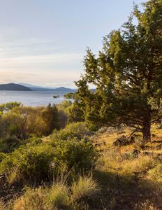 1047 Vine Maple Dr, Klamath Falls, OR, 97601