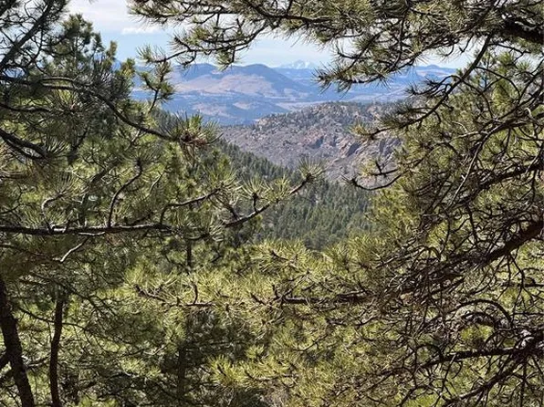 288 Troy Dr, Cripple Creek, CO 80813