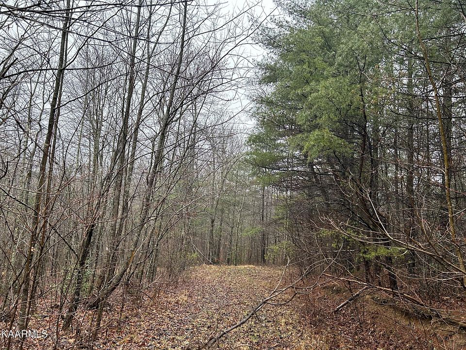 2nd image of 0 Woodland Trl Lot 21A