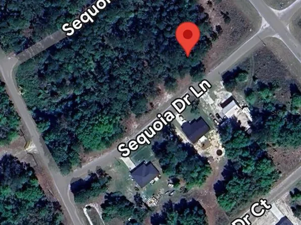 33 SE Sequoia Drive Ln #4, Ocklawaha, FL 32179