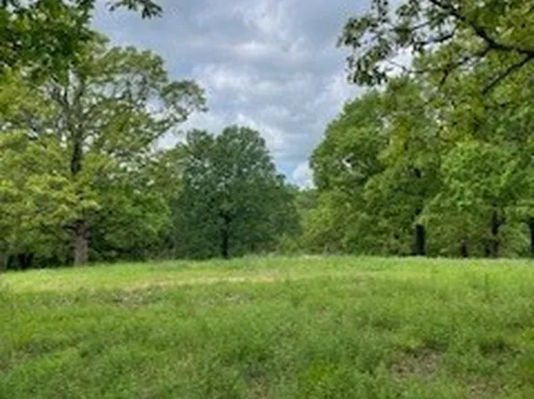 12 S Oakwood Trl #12, Noel, MO 64854