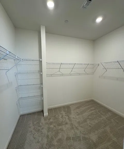 Large Primary Closet w/shelving