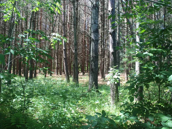 0 Stone Circle Dr, Kewadin, MI 49648