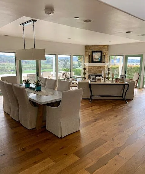 entry living/dining area