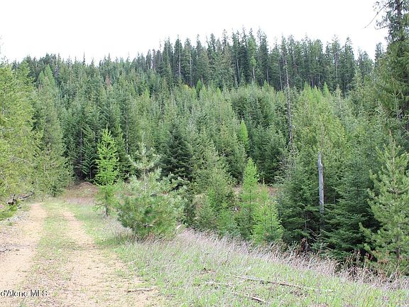 4th image of 19A Daisy Gulch Rd