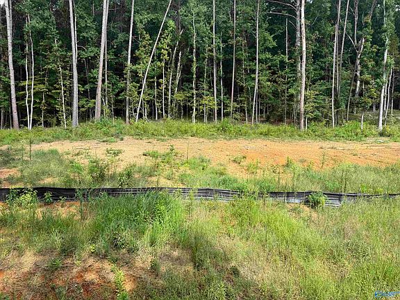 4th image of LOT 3 County Road 114