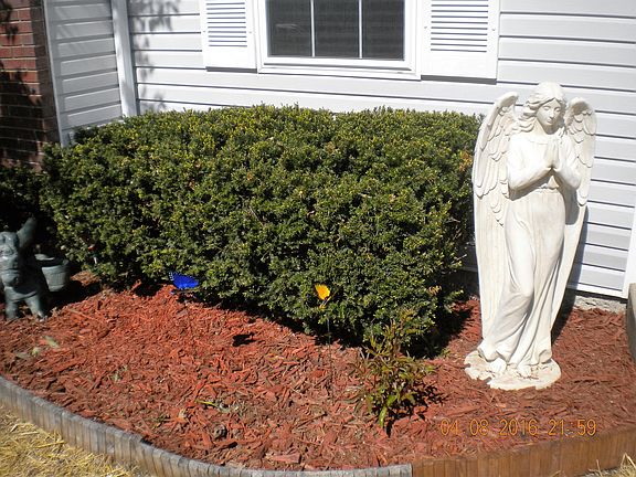 Front Entrance Garden