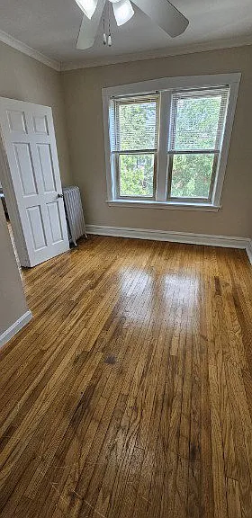 2956 W Belle Plaine Ave #3 — Photo 11