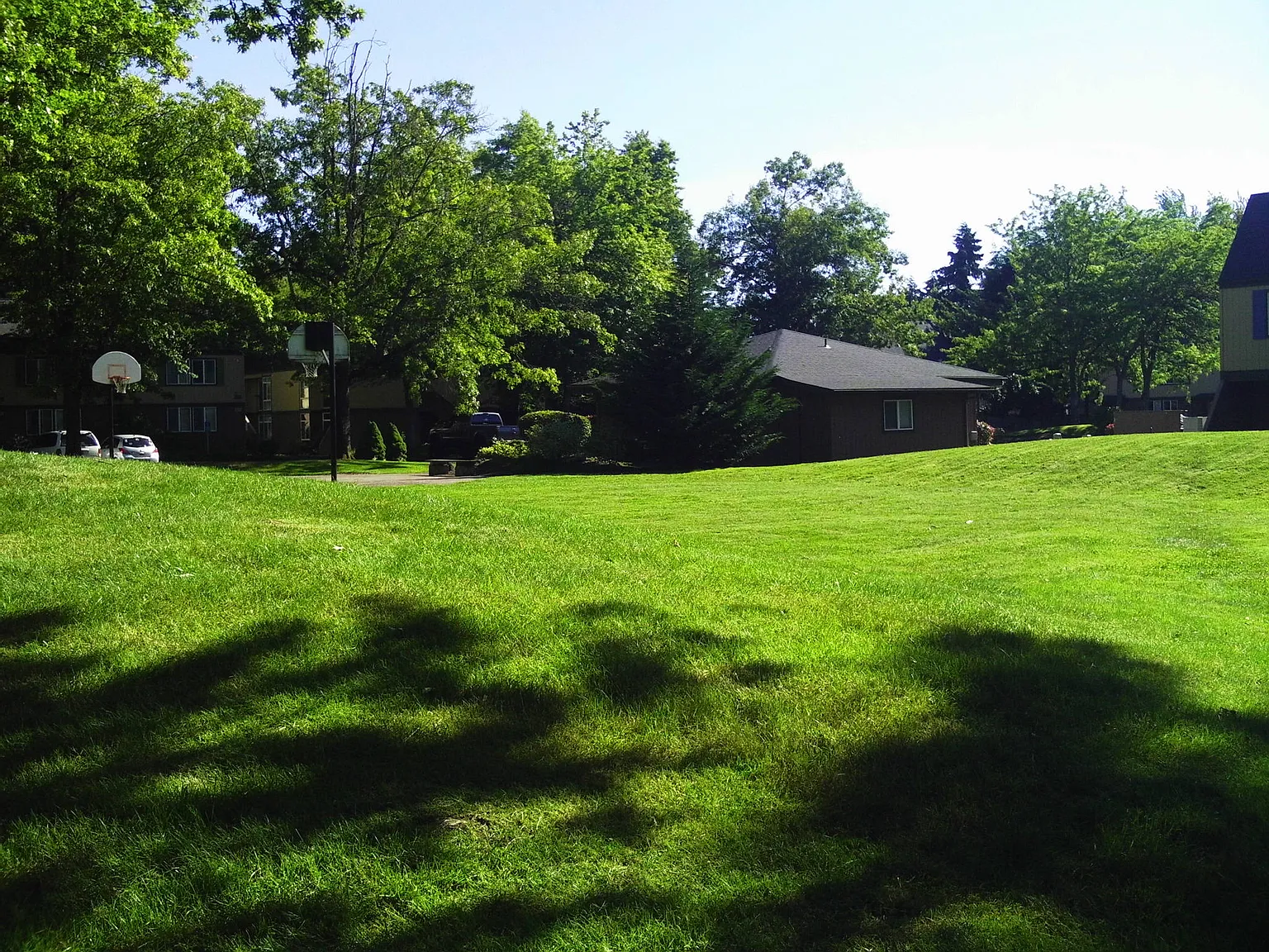 Firwood Village — Photo 2