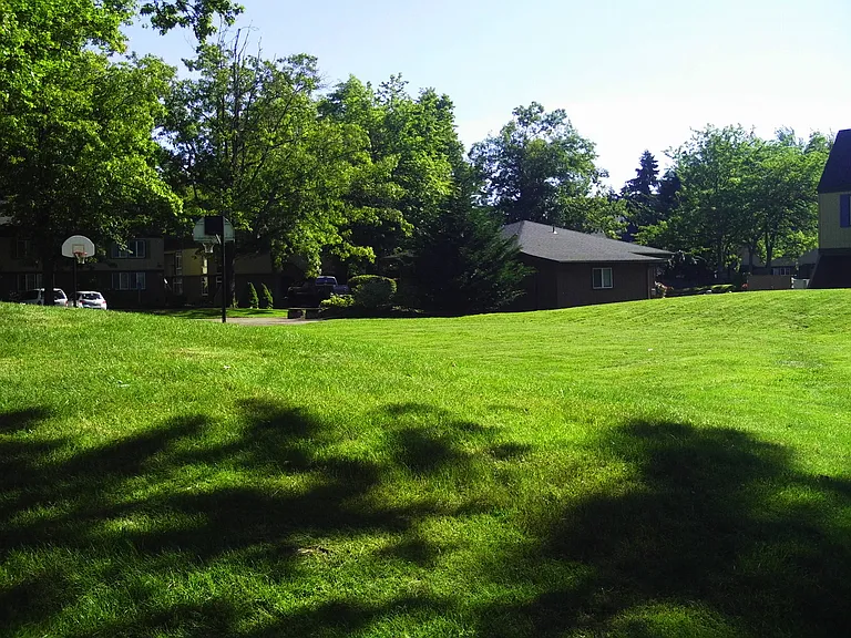 Firwood Village — Photo 5
