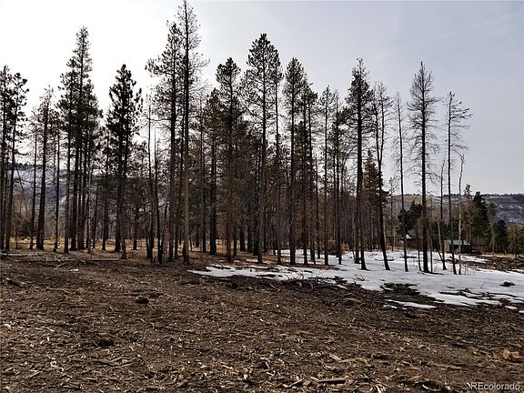 4th image of 13621 Forbes Park Rd