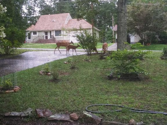 5th image of 160 Glenwood Dr