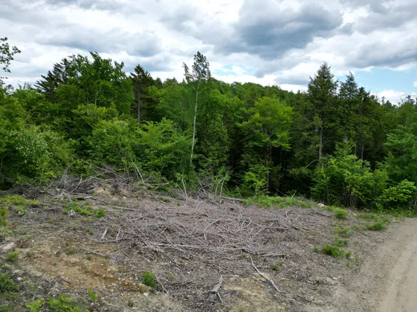 Lot 4 Shep Road Extension, Springfield, ME 04487