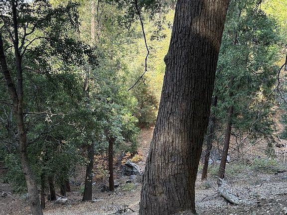 4th image of 0 Mojave River Rd #20