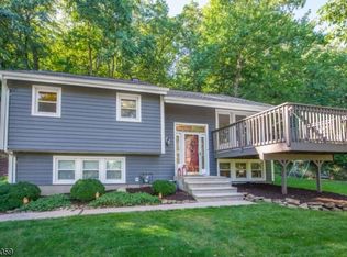 29 Radtke Rd, Randolph, NJ 07869