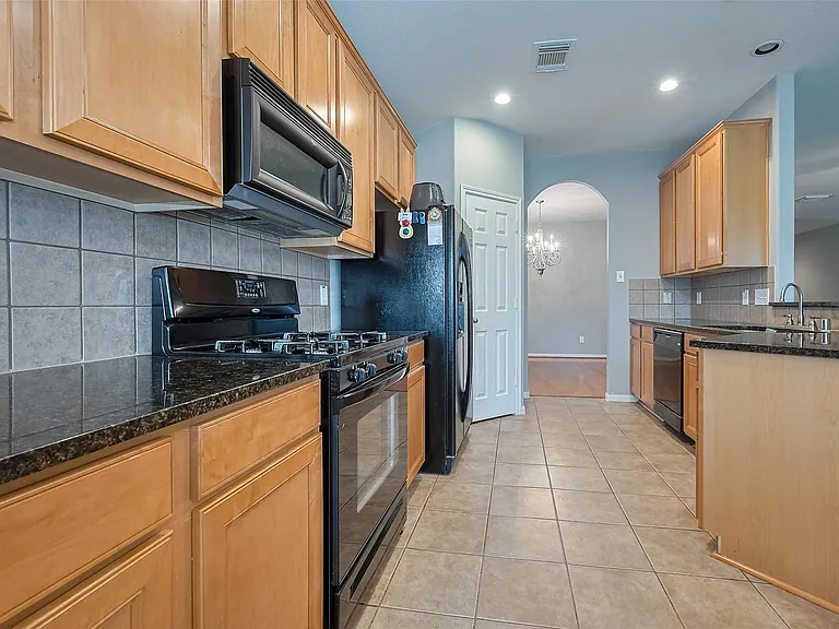 1007 Casting Springs Way — Photo 19