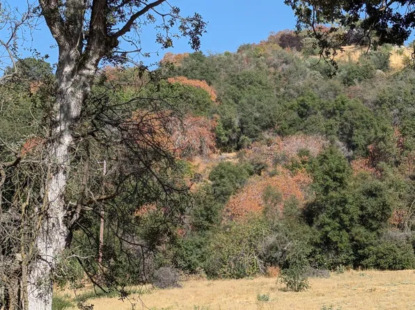 735 Bearclover Ln, Squaw Valley, CA 93675