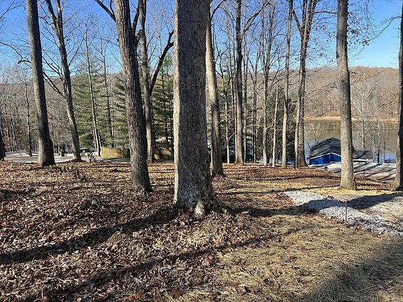 3rd image of 559 Hickman Shores Rd Lot 116