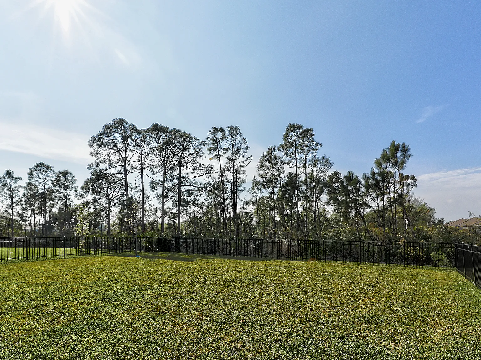 289 Daylily Blvd — Photo 2