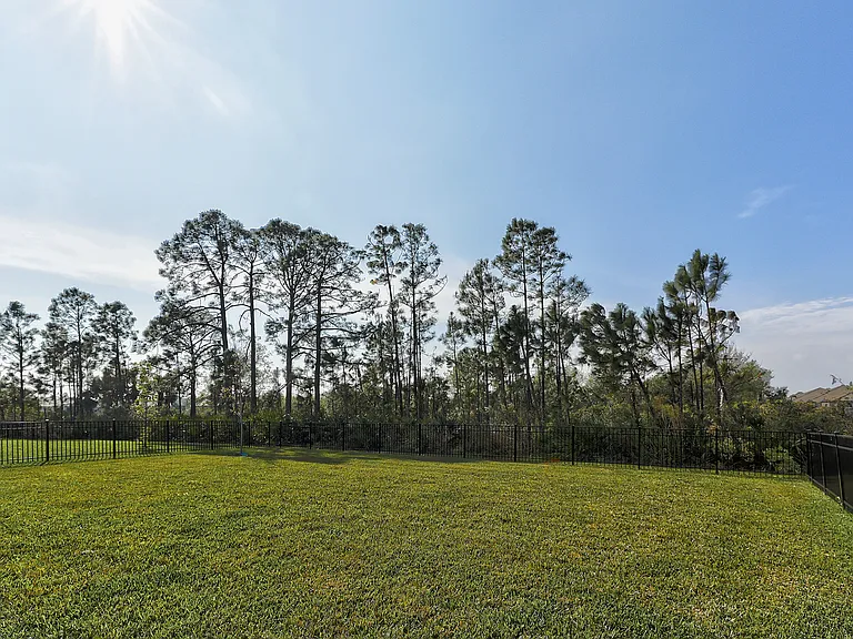 289 Daylily Blvd — Photo 2