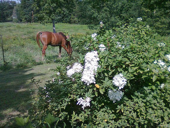 741225_485498551501394_81185965_o