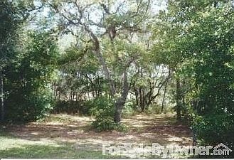backyard woodland path
						:
						backyard view from pool deck
