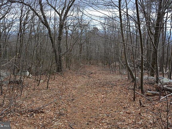 4th image of Rockwood Trl