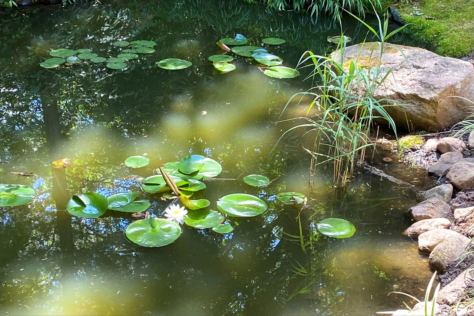  Tranquil Ponds
